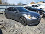 2016 Nissan Altima 2.5 Gray vin: 1N4AL3AP2GC130577