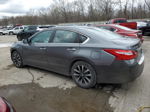 2016 Nissan Altima 2.5 Gray vin: 1N4AL3AP2GC176393