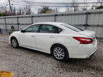 2016 Nissan Altima 2.5 White vin: 1N4AL3AP2GN367736