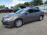 2017 Nissan Altima 2.5 Gray vin: 1N4AL3AP2HC131861