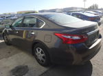 2016 Nissan Altima 2.5 Brown vin: 1N4AL3AP3GN369396