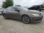 2017 Nissan Altima 2.5 Brown vin: 1N4AL3AP3HC113529