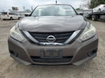 2017 Nissan Altima 2.5 Brown vin: 1N4AL3AP3HC113529