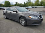 2016 Nissan Altima 2.5 Бежевый vin: 1N4AL3AP4GC226484