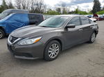 2016 Nissan Altima 2.5 Beige vin: 1N4AL3AP4GC226484