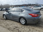 2016 Nissan Altima 2.5 Gray vin: 1N4AL3AP4GC244404