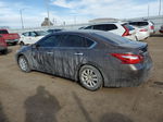 2016 Nissan Altima 2.5 Коричневый vin: 1N4AL3AP5GC183368