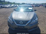 2016 Nissan Altima 2.5/2.5 S/2.5 Sl/2.5 Sr/2.5 Sv Gray vin: 1N4AL3AP5GN367004