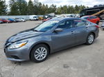 2017 Nissan Altima 2.5 Gray vin: 1N4AL3AP5HN337583