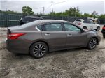 2016 Nissan Altima 2.5 Brown vin: 1N4AL3AP6GC279980