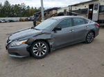 2016 Nissan Altima 2.5 Gray vin: 1N4AL3AP7GC263464