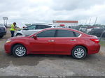 2016 Nissan Altima 2.5 S Красный vin: 1N4AL3AP8GN380698