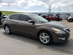 2014 Nissan Altima 2.5 Коричневый vin: 1N4AL3AP9EC408985