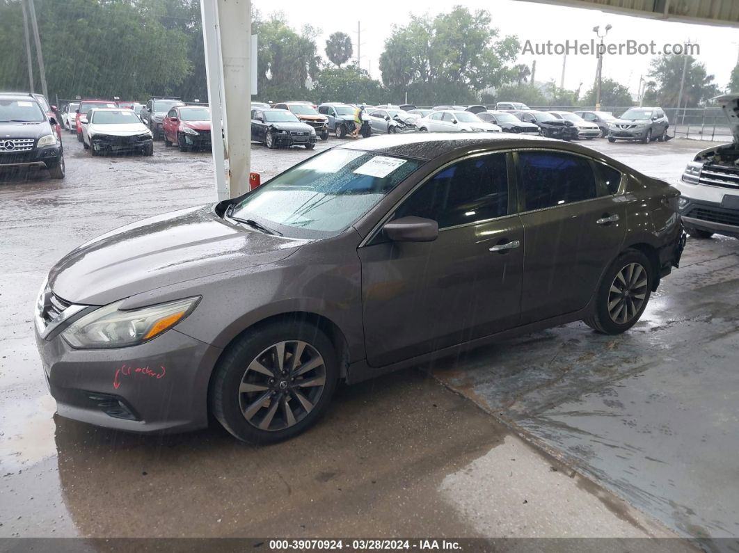 2017 Nissan Altima 2.5/s/sv/sl/sr Бежевый vin: 1N4AL3AP9HC112157