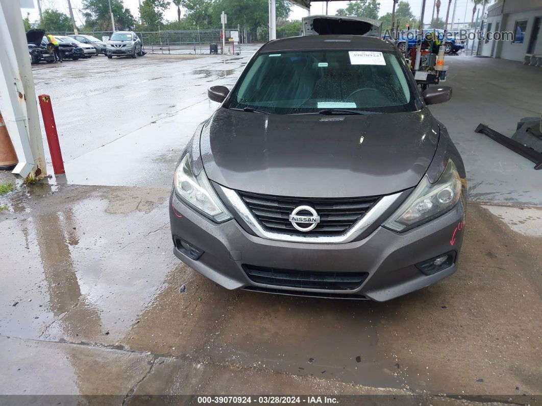 2017 Nissan Altima 2.5/s/sv/sl/sr Бежевый vin: 1N4AL3AP9HC112157