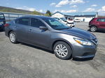 2018 Nissan Altima 2.5 Gray vin: 1N4AL3APXJC112383