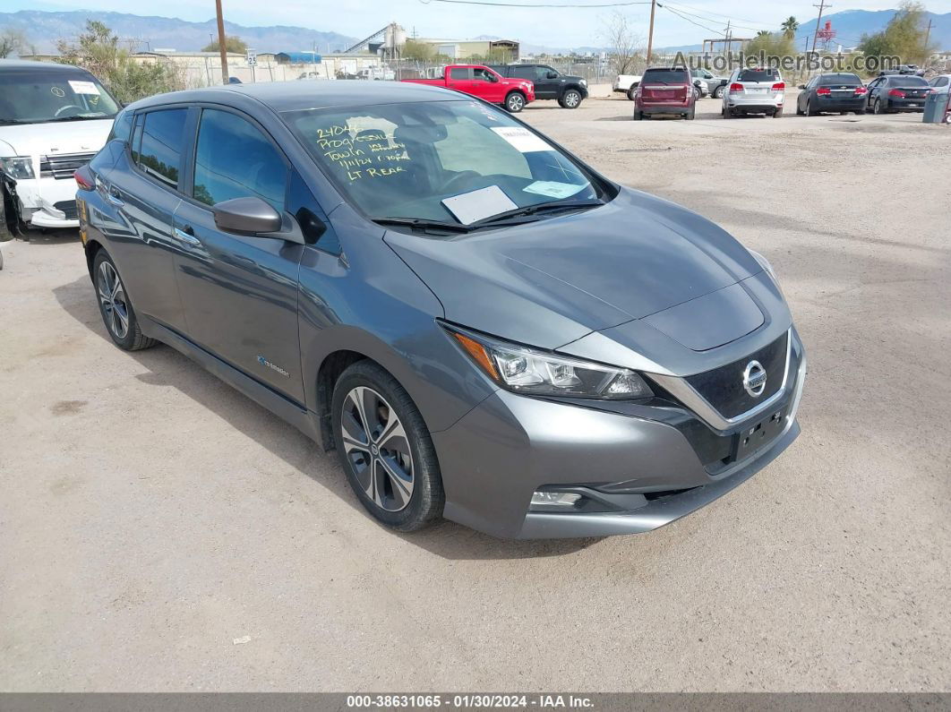 2019 Nissan Leaf Sv Gray vin: 1N4AZ1CP0KC309287