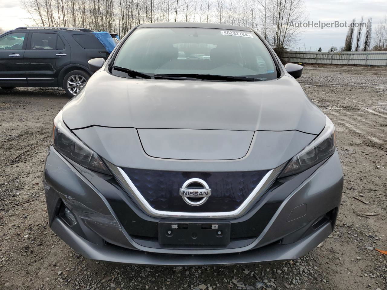 2019 Nissan Leaf S Серый vin: 1N4AZ1CP1KC305460