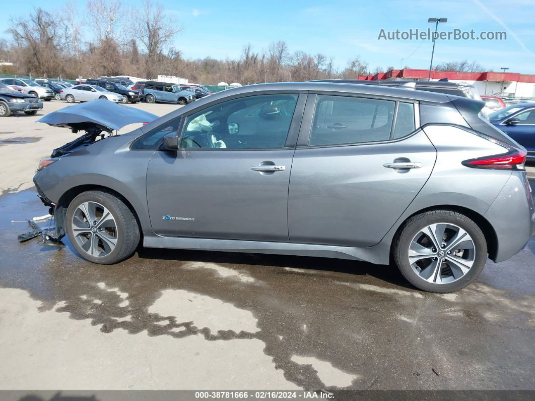 2019 Nissan Leaf Sv Silver vin: 1N4AZ1CP2KC304737