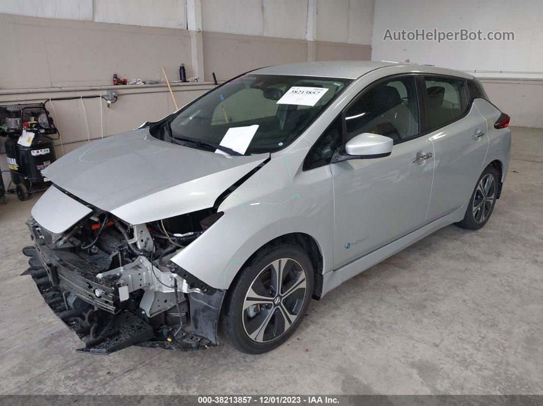 2019 Nissan Leaf Sv Silver vin: 1N4AZ1CP2KC317584