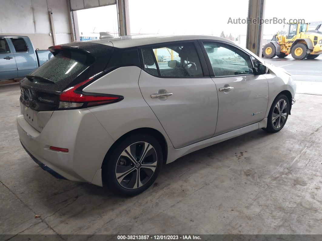 2019 Nissan Leaf Sv Silver vin: 1N4AZ1CP2KC317584