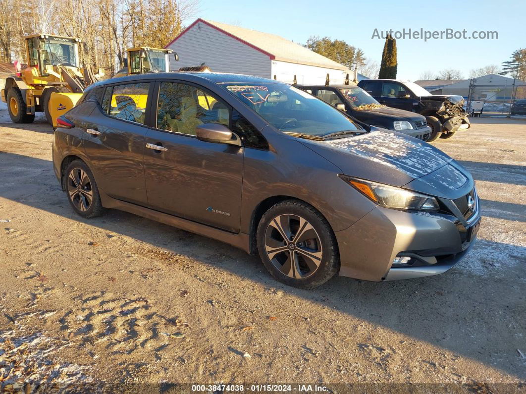 2019 Nissan Leaf Sv Gray vin: 1N4AZ1CP3KC306934