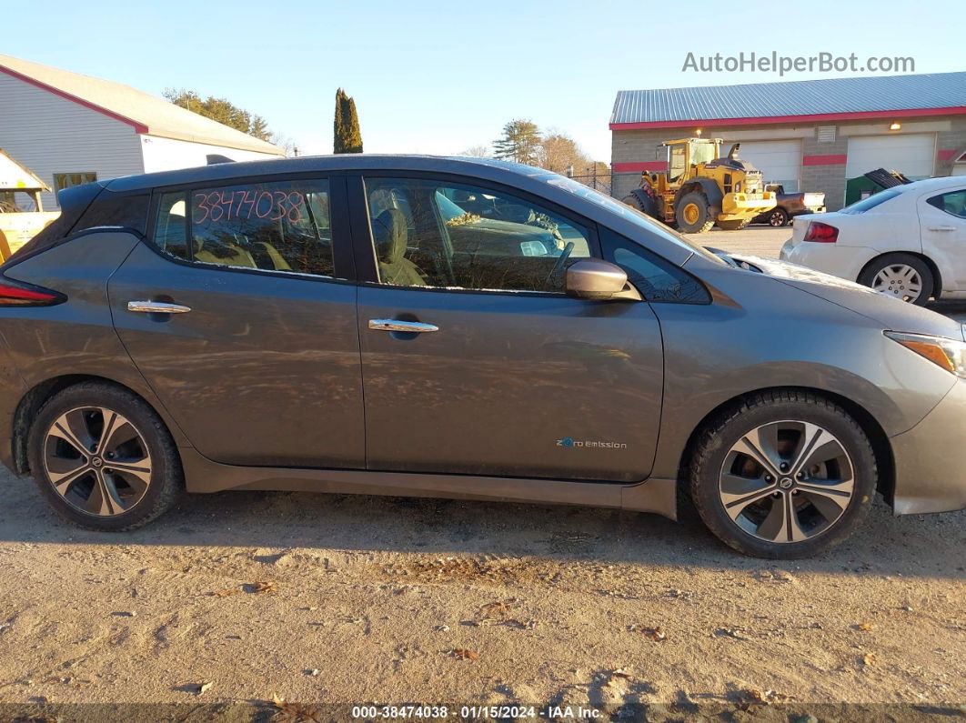 2019 Nissan Leaf Sv Gray vin: 1N4AZ1CP3KC306934