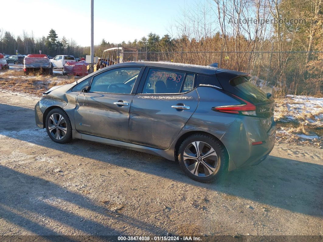 2019 Nissan Leaf Sv Gray vin: 1N4AZ1CP3KC306934