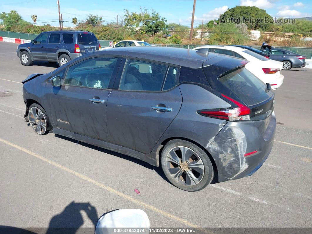 2019 Nissan Leaf Sv Gray vin: 1N4AZ1CP4KC310197