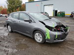 2019 Nissan Leaf S Gray vin: 1N4AZ1CP5KC304103