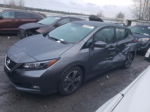 2019 Nissan Leaf S Gray vin: 1N4AZ1CP6KC307379