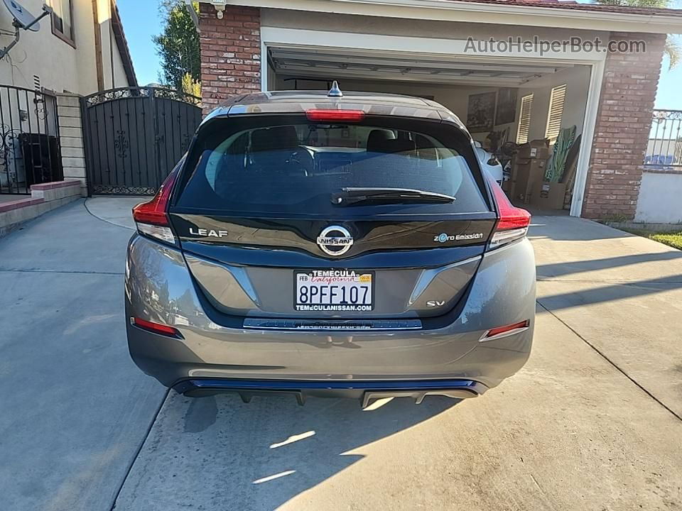 2019 Nissan Leaf S/sl/sv Gray vin: 1N4AZ1CP6KC321766