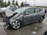 2019 Nissan Leaf S Gray vin: 1N4AZ1CP7KC320061