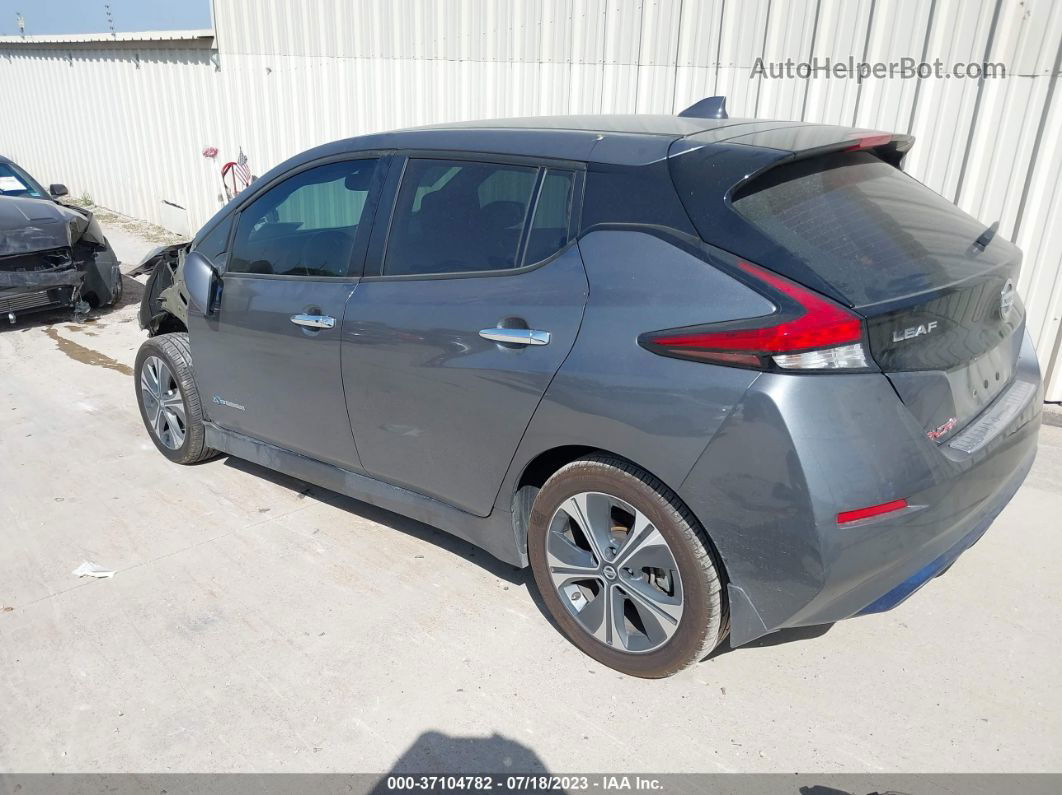 2019 Nissan Leaf Sv Серый vin: 1N4AZ1CPXKC300256