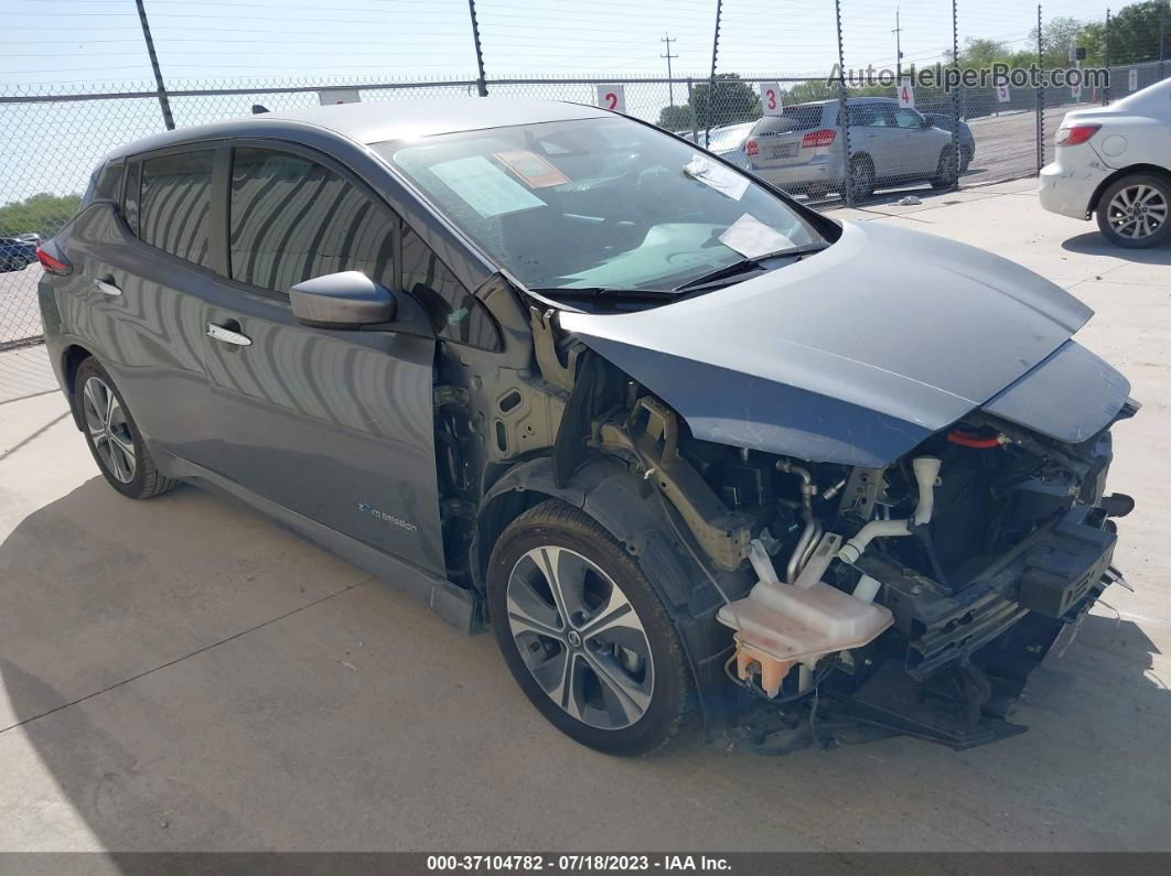 2019 Nissan Leaf Sv Gray vin: 1N4AZ1CPXKC300256