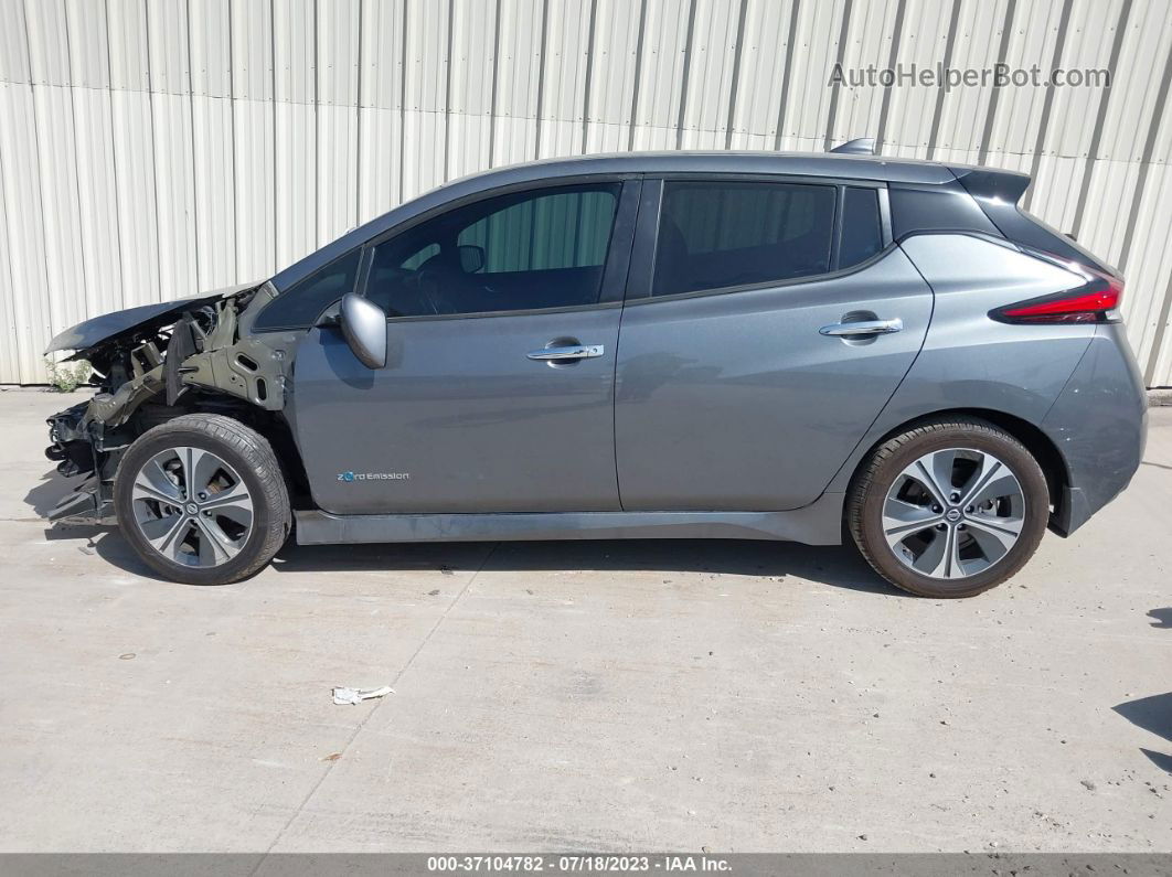 2019 Nissan Leaf Sv Gray vin: 1N4AZ1CPXKC300256