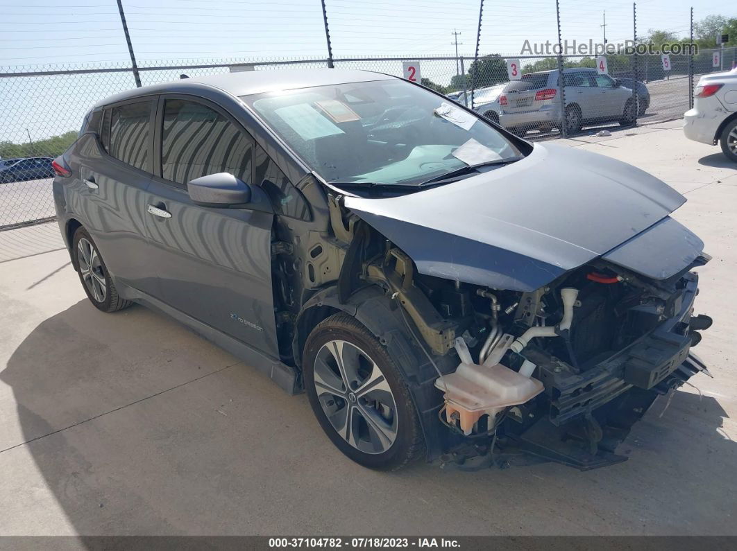 2019 Nissan Leaf Sv Gray vin: 1N4AZ1CPXKC300256