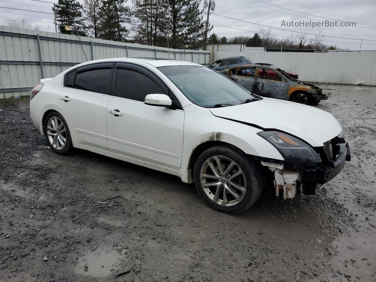 2008 Nissan Altima 3.5se White vin: 1N4BL21E08N542709