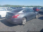 2014 Nissan Altima 3.5 Sl Gray vin: 1N4BL3AP2EC150751