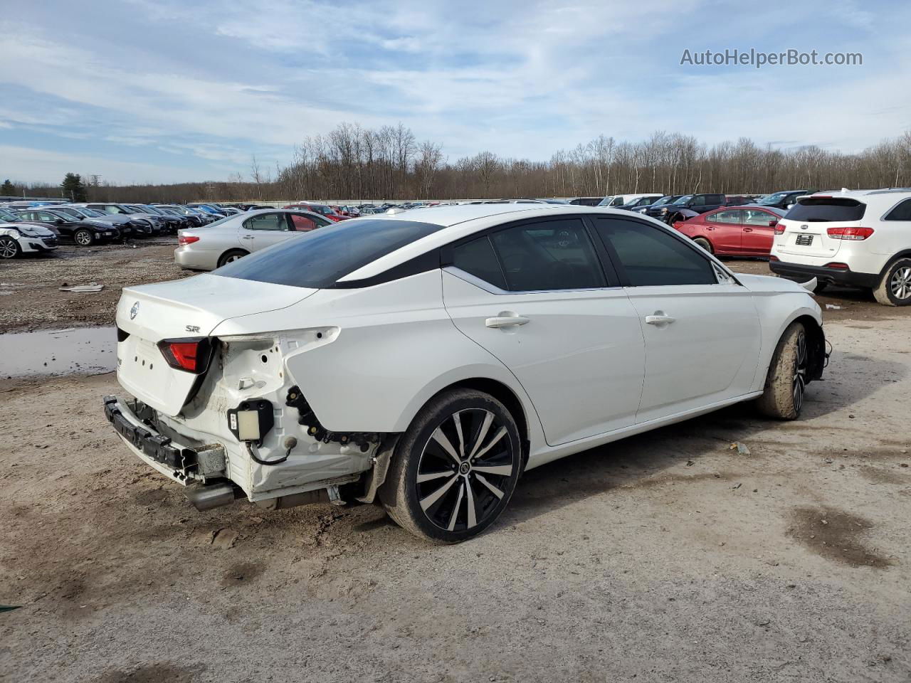 2021 Nissan Altima Sr Белый vin: 1N4BL4CV1MN338536