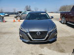 2019 Nissan Altima Platinum Серый vin: 1N4BL4FW5KN319232