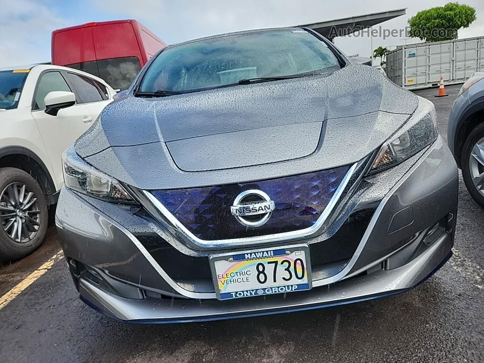 2019 Nissan Leaf Sv Plus Gray vin: 1N4BZ1CP0KC310119