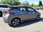 2019 Nissan Leaf S Plus Gray vin: 1N4BZ1CP0KC318866