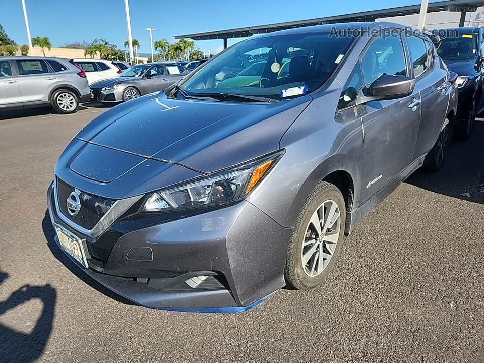 2019 Nissan Leaf S Plus/sl Plus/sv Plus Gray vin: 1N4BZ1CP2KC322143