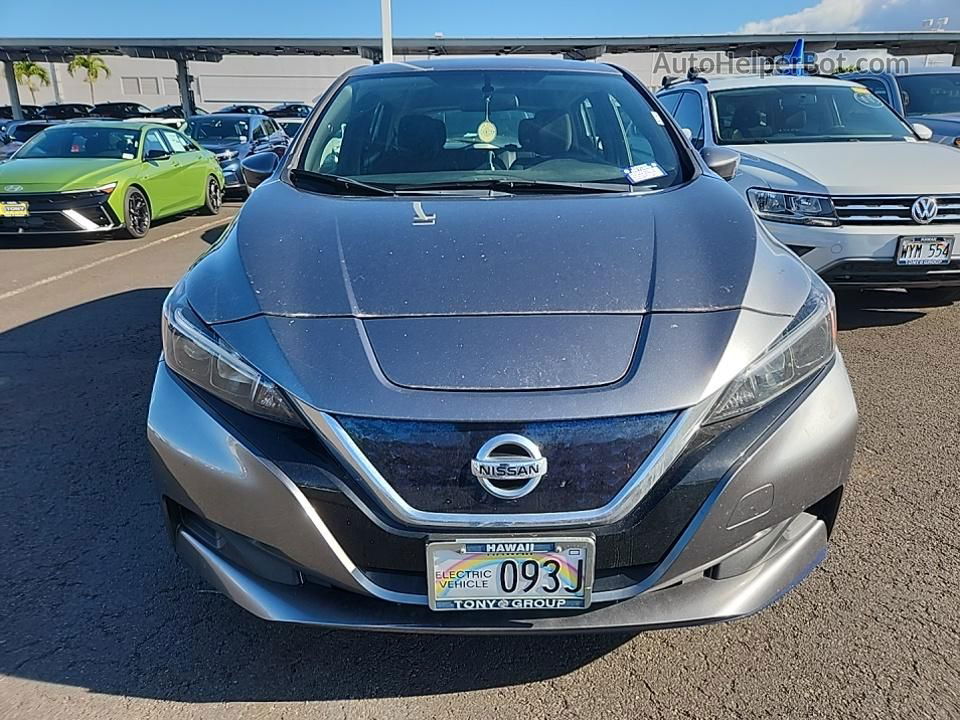 2019 Nissan Leaf S Plus/sl Plus/sv Plus Gray vin: 1N4BZ1CP2KC322143