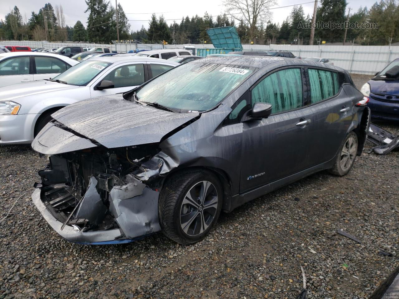 2019 Nissan Leaf S Plus Gray vin: 1N4BZ1CP5KC321245