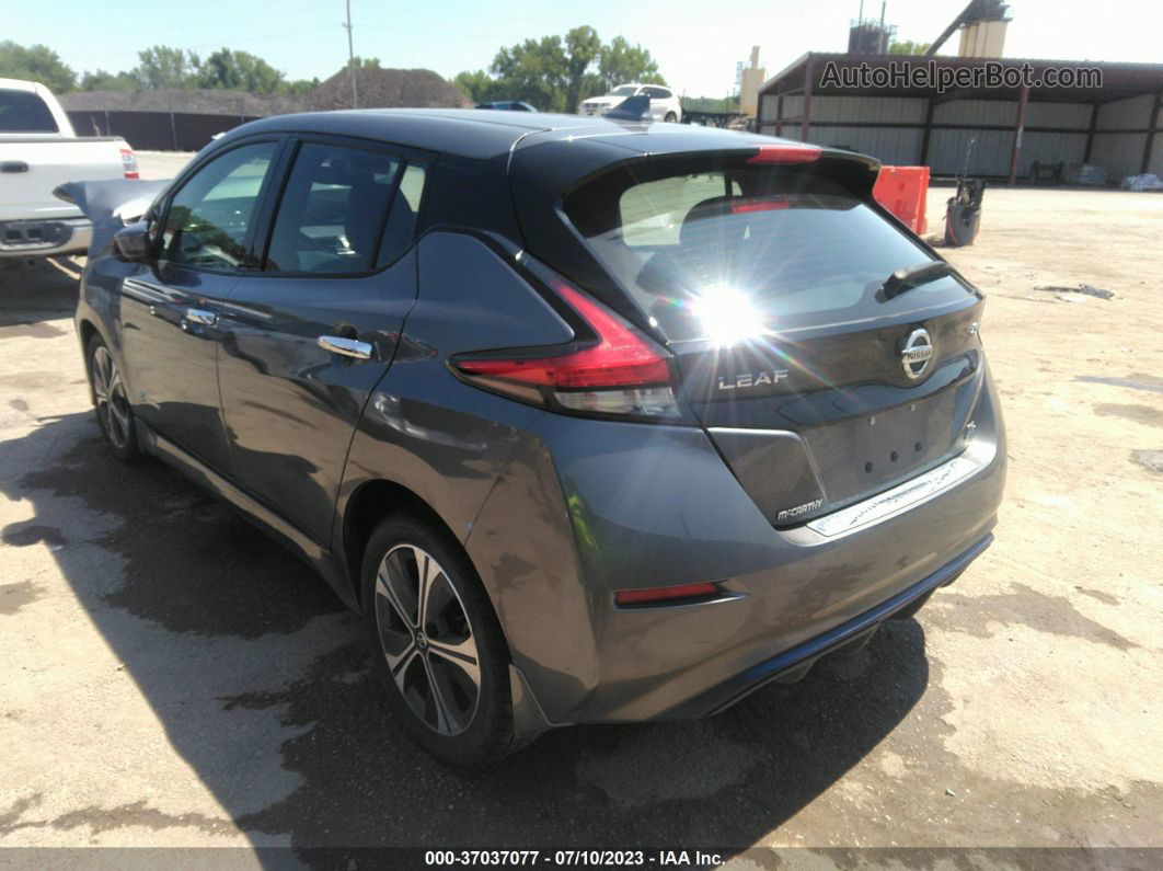 2019 Nissan Leaf Sl Plus Gray vin: 1N4BZ1CP6KC317883