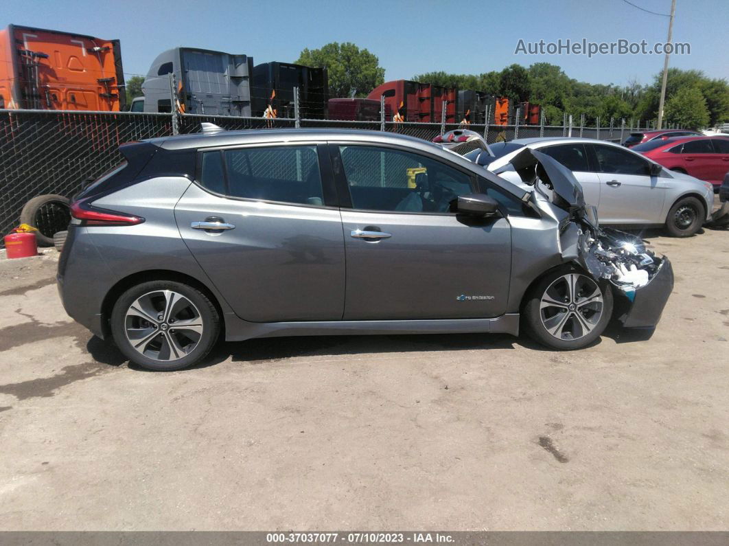 2019 Nissan Leaf Sl Plus Gray vin: 1N4BZ1CP6KC317883