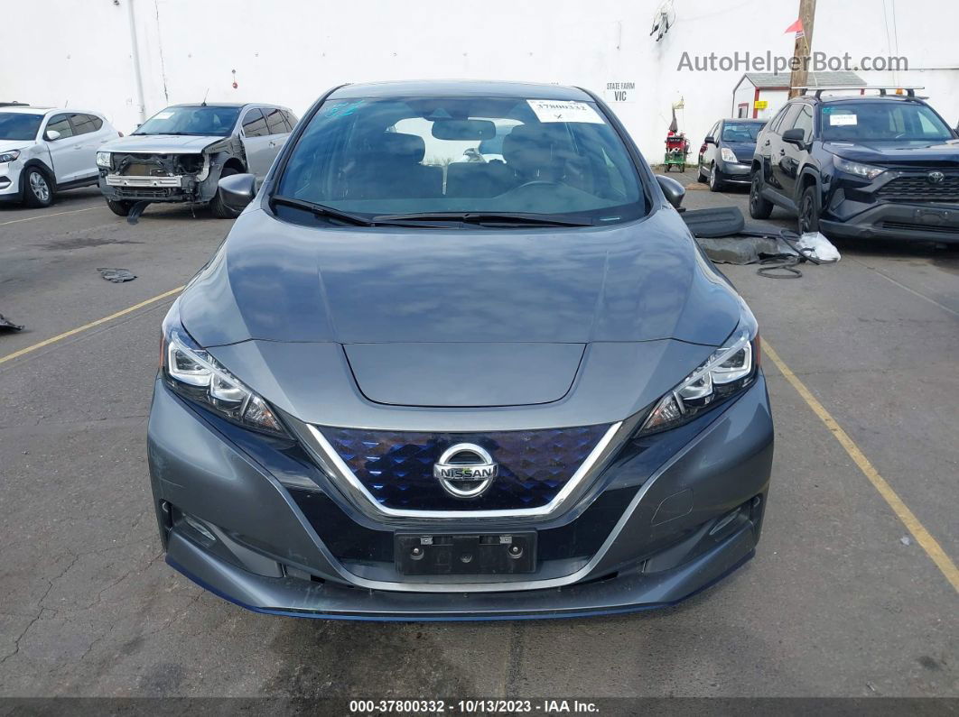 2019 Nissan Leaf Sv Plus Gray vin: 1N4BZ1CP8KC321028