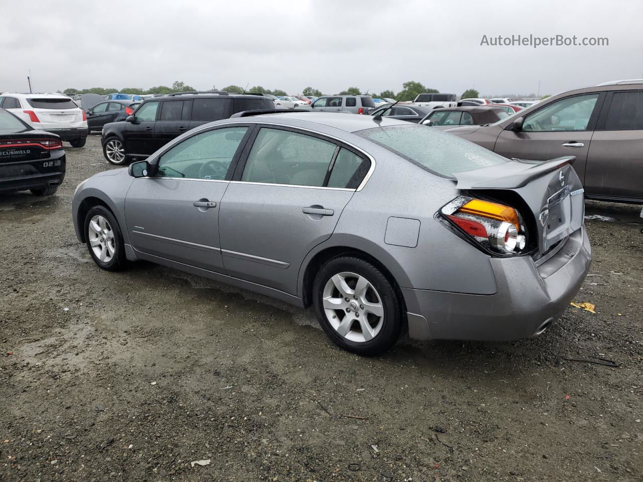 2008 Nissan Altima Hybrid Silver vin: 1N4CL21E08C173009